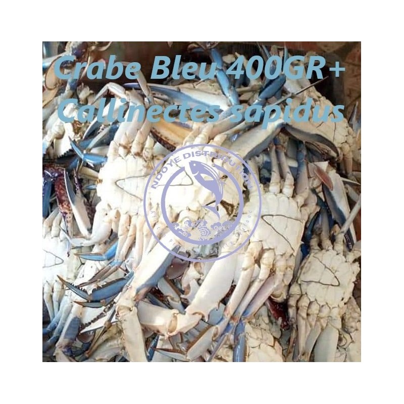 Crabe bleu 400gr + (Callinectes sapidus)