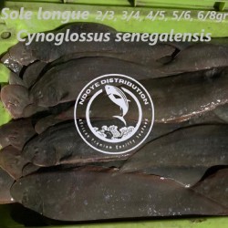 Sole longue (Cynoglossus...