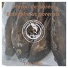 Mérou de Gorée (Epinephelus gorensis)