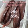 Dente commun    (Dentex Dentex)