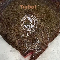 Turbot