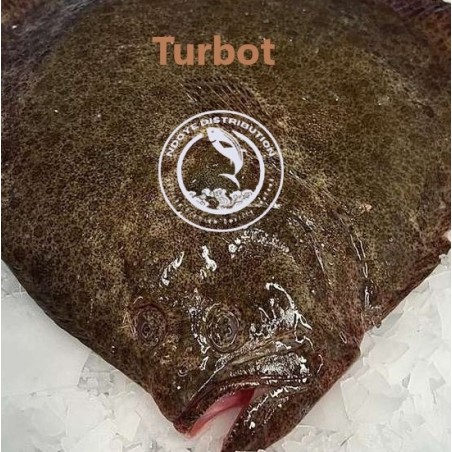 Turbot