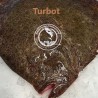 Turbot