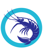 Crustacés - Langoustes - Crevettes - Crabes - Cigales