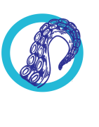Cephalopodes - Seiches - Poulpes du Sénégal